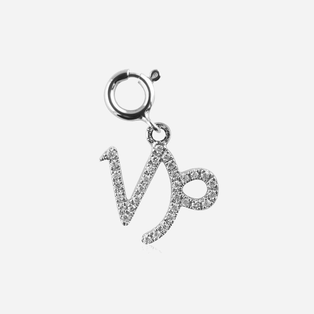 Diamond Star Sign Charm Capricorn