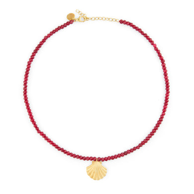 Shell Necklace